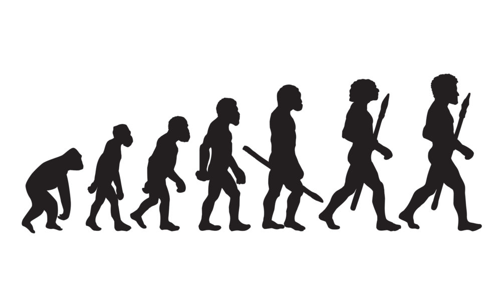Evolution: Fact or Fiction? Image