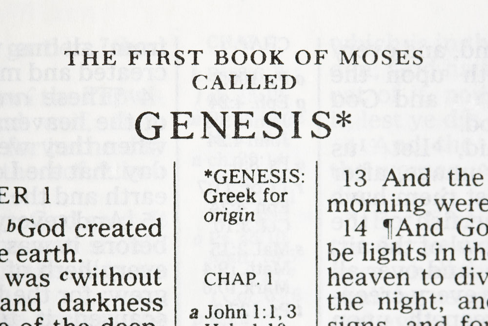 The Book of Genesis Part 2 Image