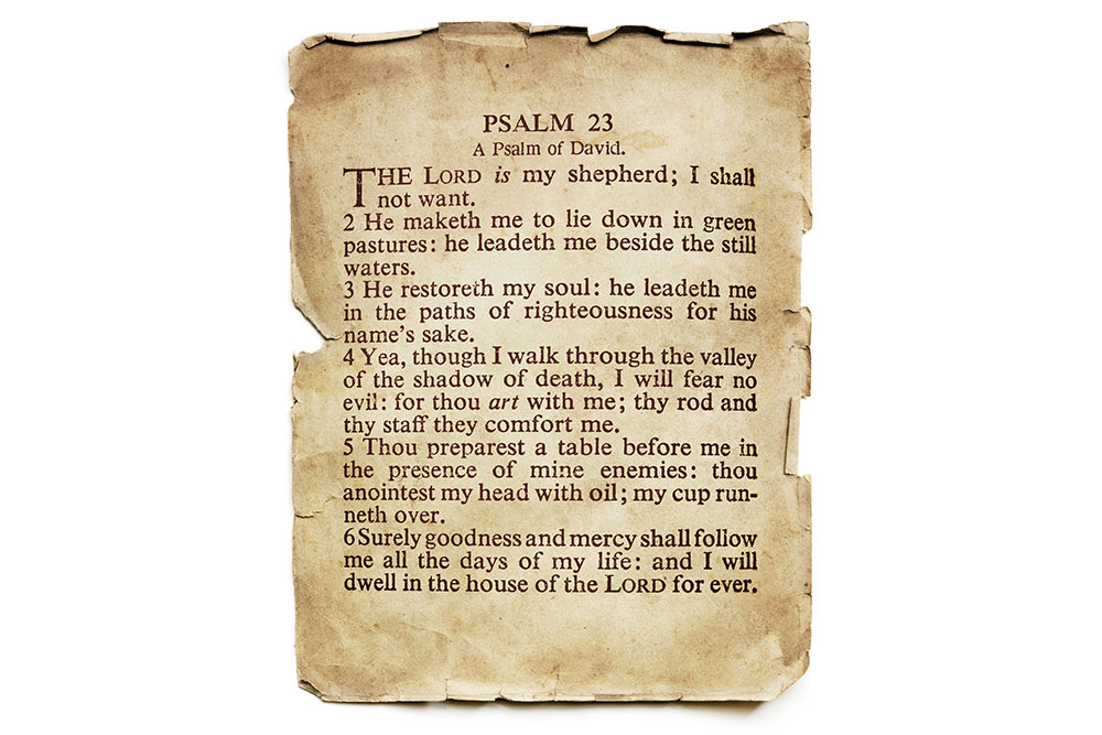 The Book of Psalms Part 8 Image