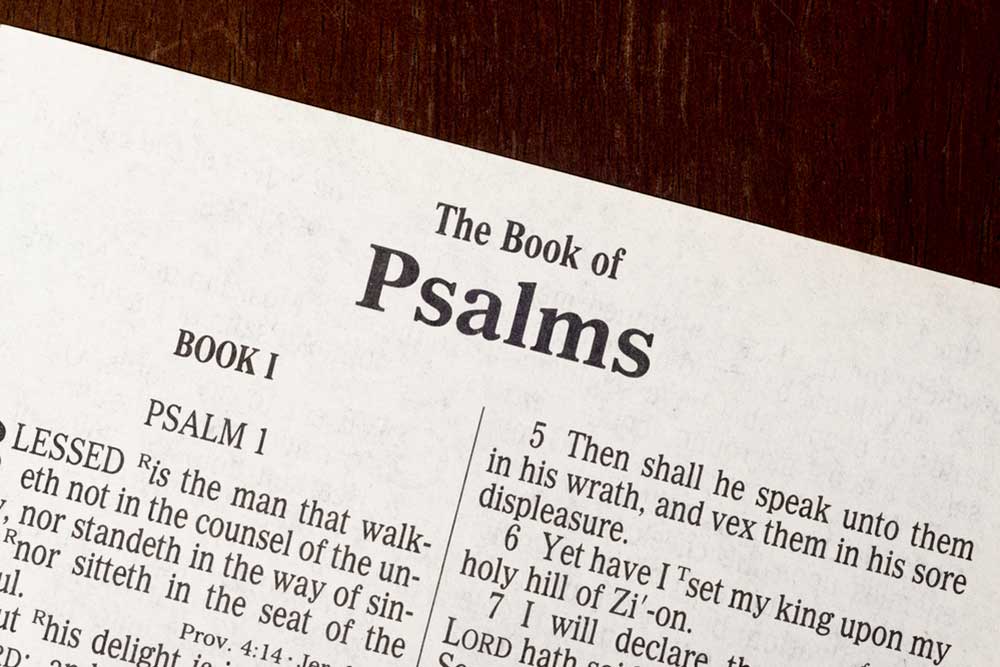 The Book of Psalms Part 9 Image