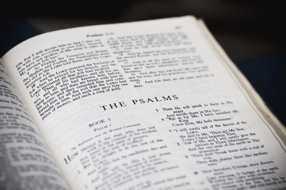 The Book of Psalms Part 11 Image