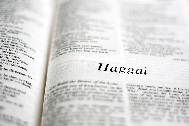 Haggai 1:1 – 11